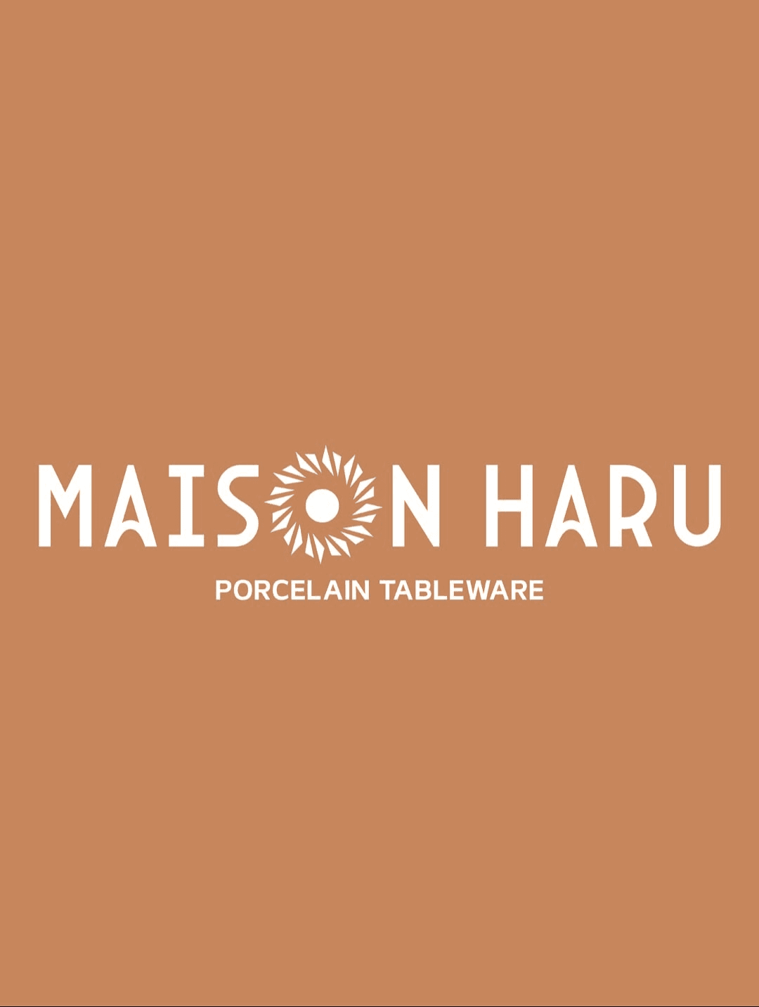 Maison Naru primary logo on terracotta background